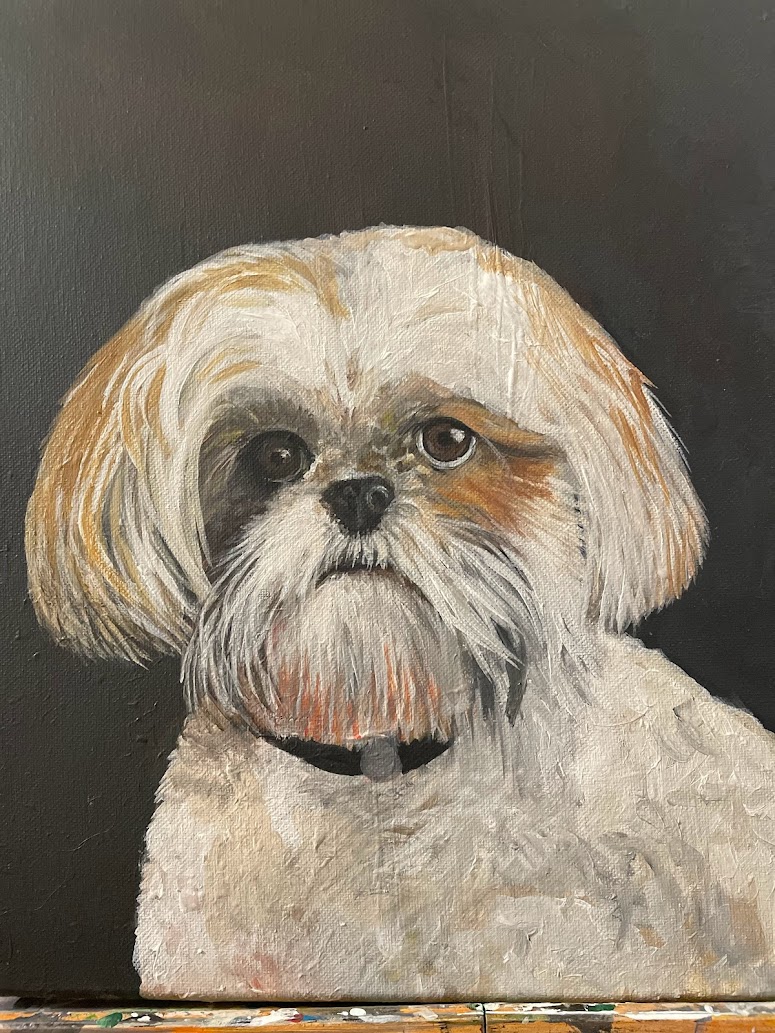 Shih Tzu Portrait by Student Showcase